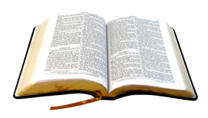 292-2926785_transparent-biblia-abierta-png-holy-bible-png-download-removebg-preview